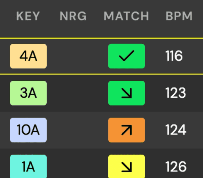 DJ.Studio app showing the 'Key', 'NRG', 'Match' and 'BPM' readings.Alt text